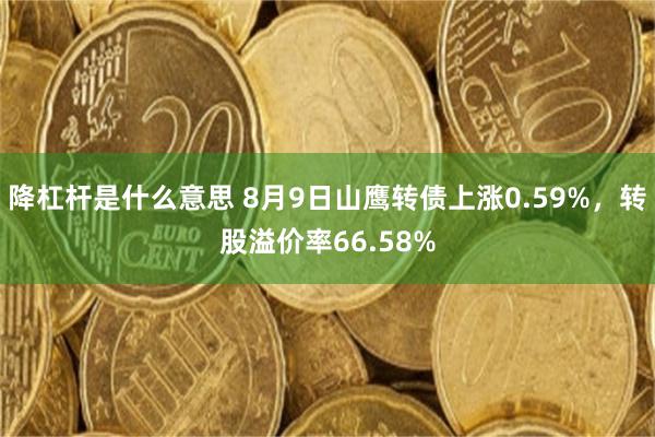 降杠杆是什么意思 8月9日山鹰转债上涨0.59%，转股溢价率66.58%