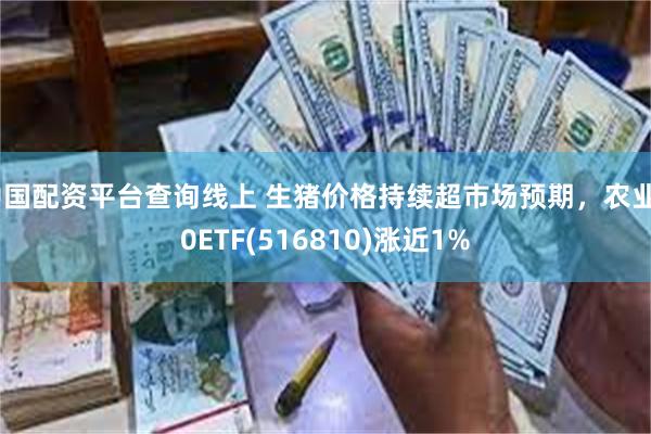 中国配资平台查询线上 生猪价格持续超市场预期，农业50ETF(516810)涨近1%