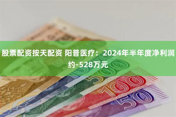 股票配资按天配资 阳普医疗：2024年半年度净利润约-528万元