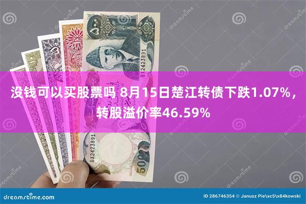 没钱可以买股票吗 8月15日楚江转债下跌1.07%，转股溢价率46.59%