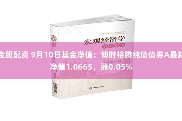 金股配资 9月10日基金净值：博时裕腾纯债债券A最新净值1.0665，涨0.05%