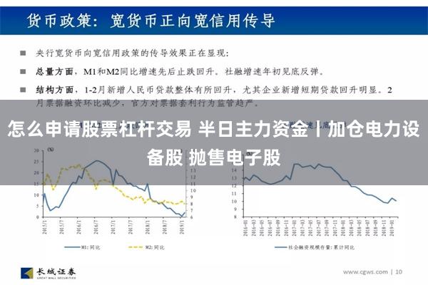 怎么申请股票杠杆交易 半日主力资金丨加仓电力设备股 抛售电子股