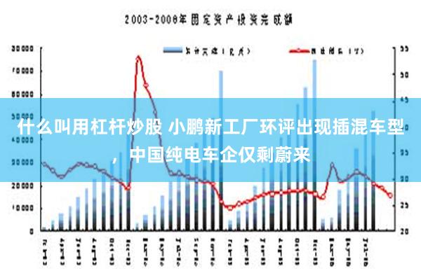 什么叫用杠杆炒股 小鹏新工厂环评出现插混车型，中国纯电车企仅剩蔚来