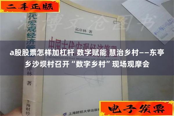 a股股票怎样加杠杆 数字赋能 慧治乡村——东亭乡沙坝村召开“数字乡村”现场观摩会