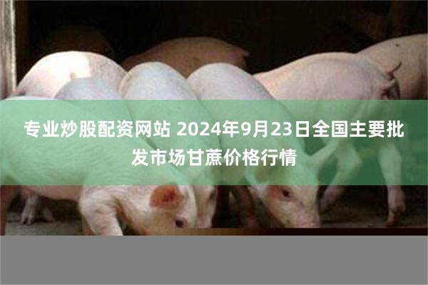 专业炒股配资网站 2024年9月23日全国主要批发市场甘蔗价格行情