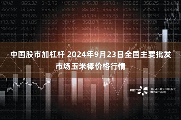 中国股市加杠杆 2024年9月23日全国主要批发市场玉米棒价格行情