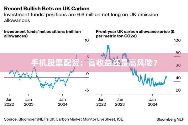 手机股票配资：高收益还是高风险？