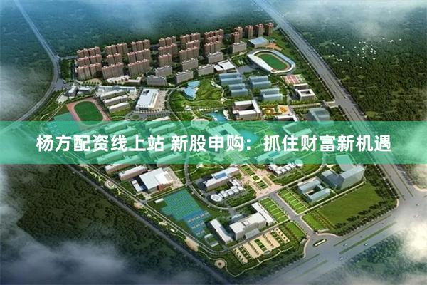 杨方配资线上站 新股申购：抓住财富新机遇