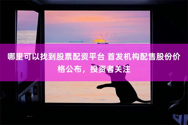 哪里可以找到股票配资平台 首发机构配售股份价格公布，投资者关注