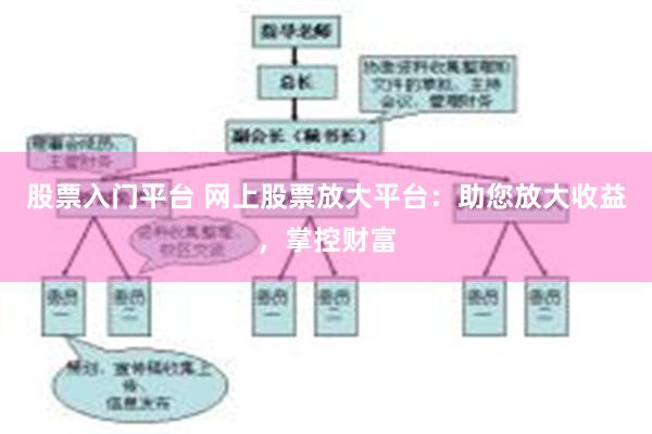 股票入门平台 网上股票放大平台：助您放大收益，掌控财富