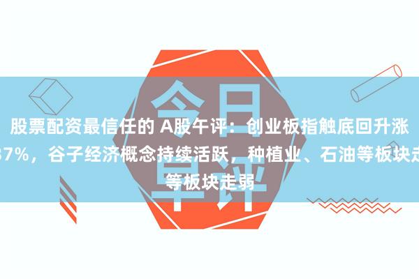 股票配资最信任的 A股午评：创业板指触底回升涨1.37%，谷子经济概念持续活跃，种植业、石油等板块走弱