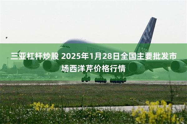 三亚杠杆炒股 2025年1月28日全国主要批发市场西洋芹价格行情