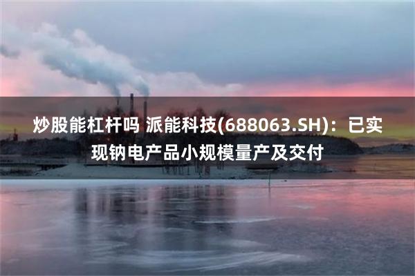 炒股能杠杆吗 派能科技(688063.SH)：已实现钠电产品小规模量产及交付