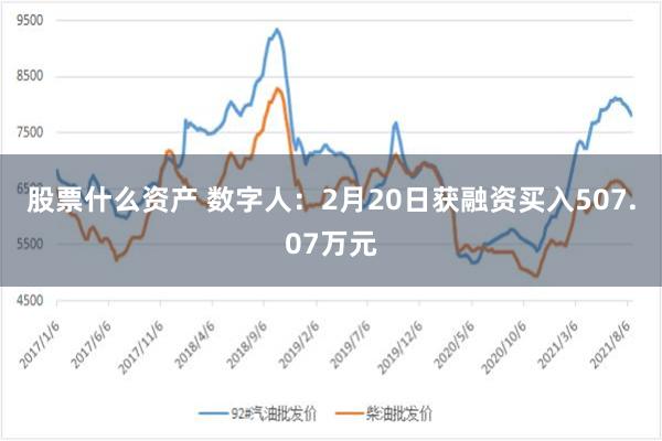 股票什么资产 数字人：2月20日获融资买入507.07万元